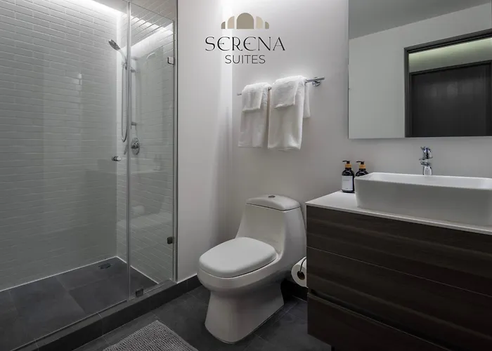 Elegant With Air Conditioning, Pool, Sauna, & Fitness Center In Polanco Apartment Mexico City