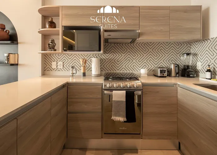 Apartment Elegant With Air Conditioning, Pool, Sauna, & Fitness Center In Polanco Mexico City